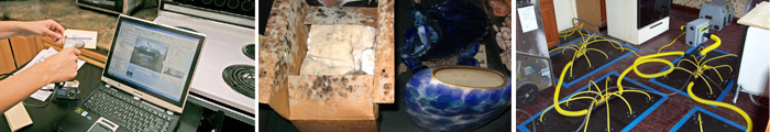 Home Mold in IL & WI including Waukegan, Kenosha & Mchenry. Home Mold in IL & WI, including Waukegan, Kenosha & Mchenry.